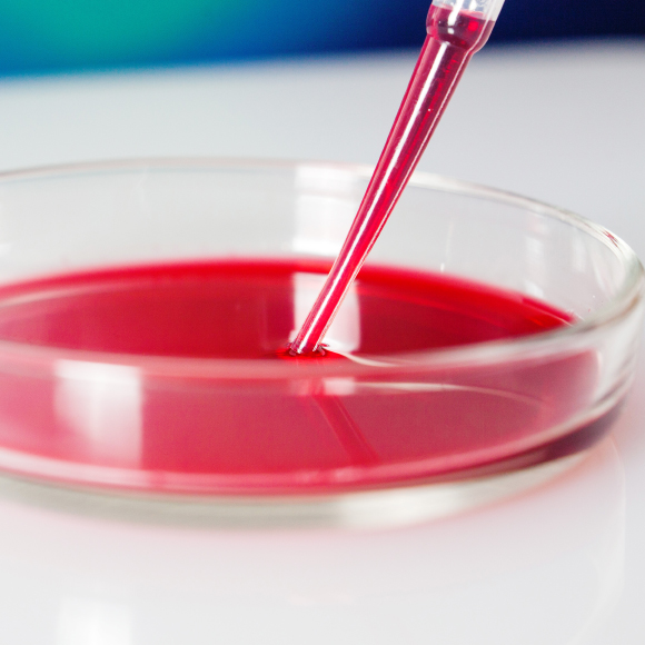 התרופה היקרה בעולם