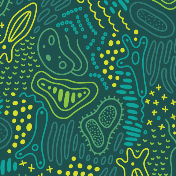 עולם חדש של טורפים זעירים