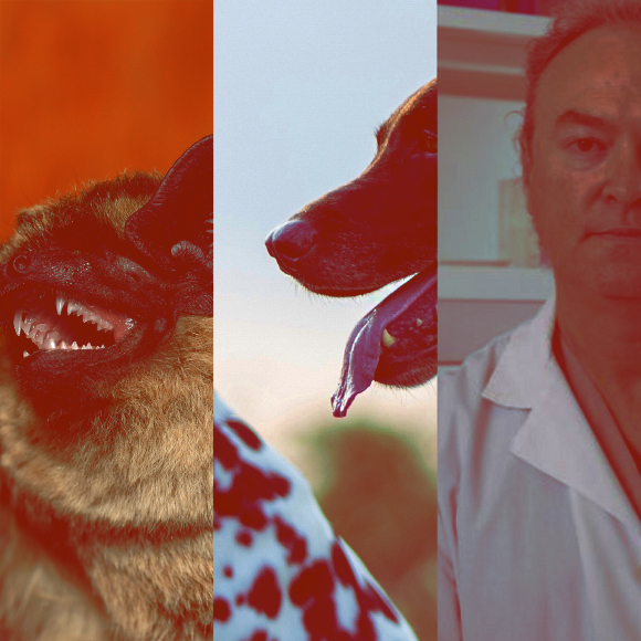 המחקרים החדשים ביותר: מהנשמדע 7/1/2023