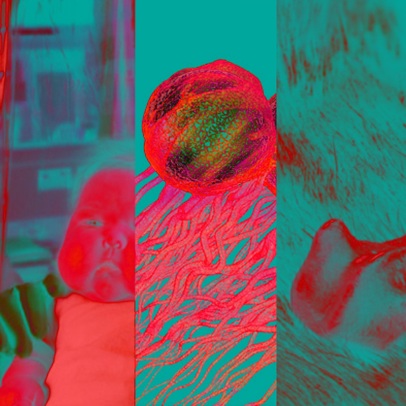 המחקרים החדשים ביותר: מהנשמדע 14/1/2023