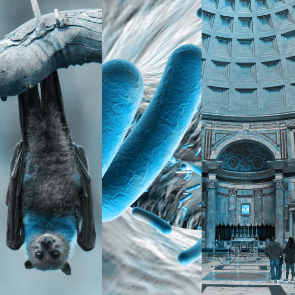 המחקרים החדשים ביותר: מהנשמדע 21/1/2023