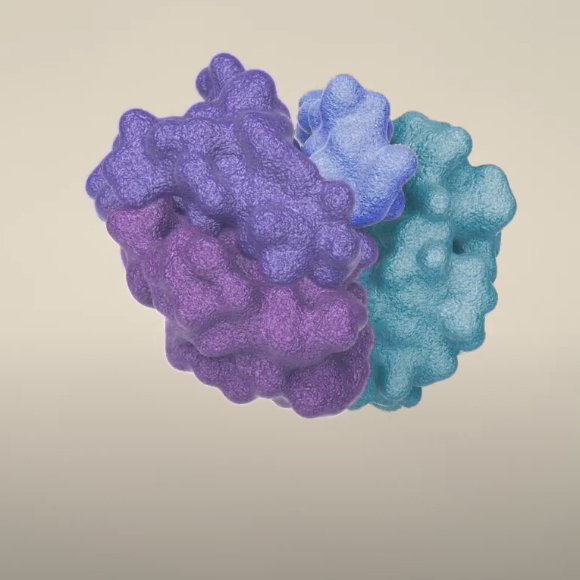 לתכנן את האנזים