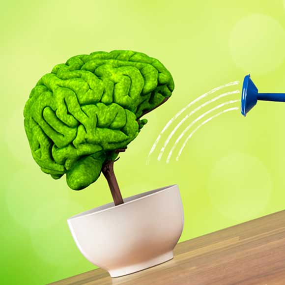 Brainwash – What is Kale?