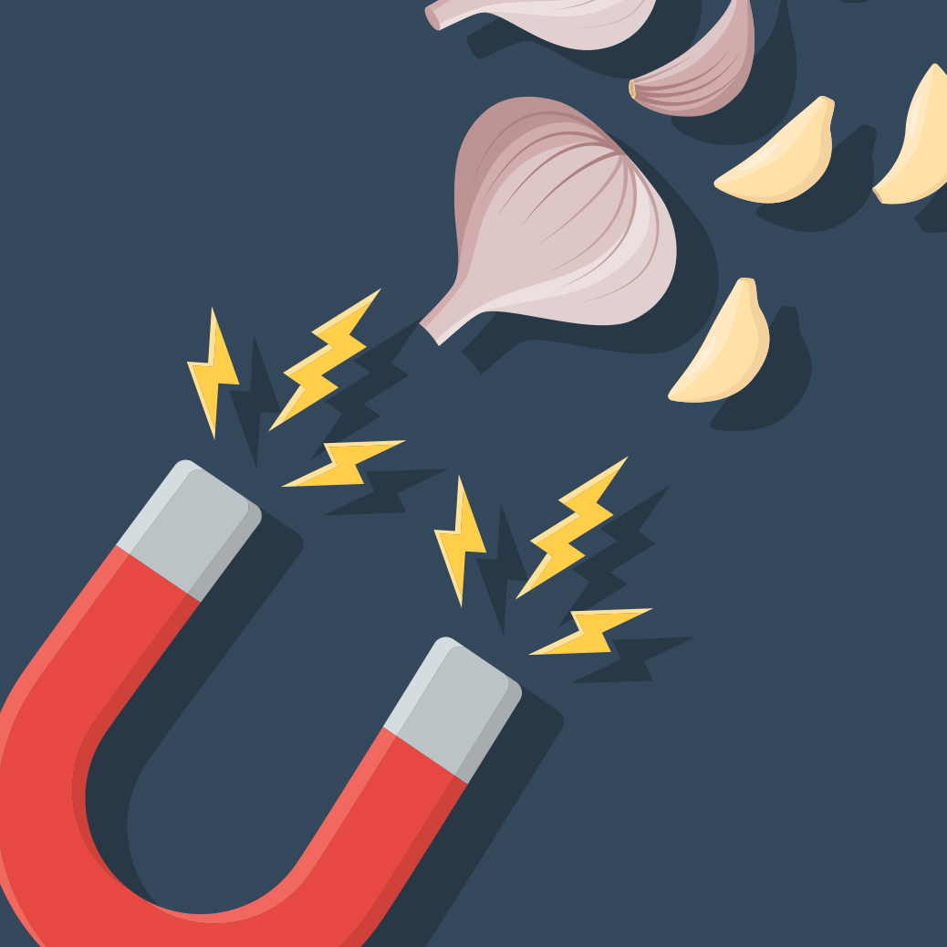 On Garlic, Magnets and The Scientific Revolution