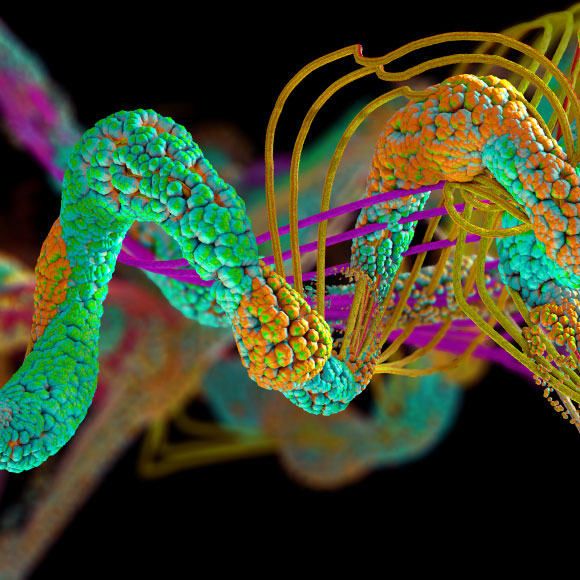 לנבא את שפת החלבונים