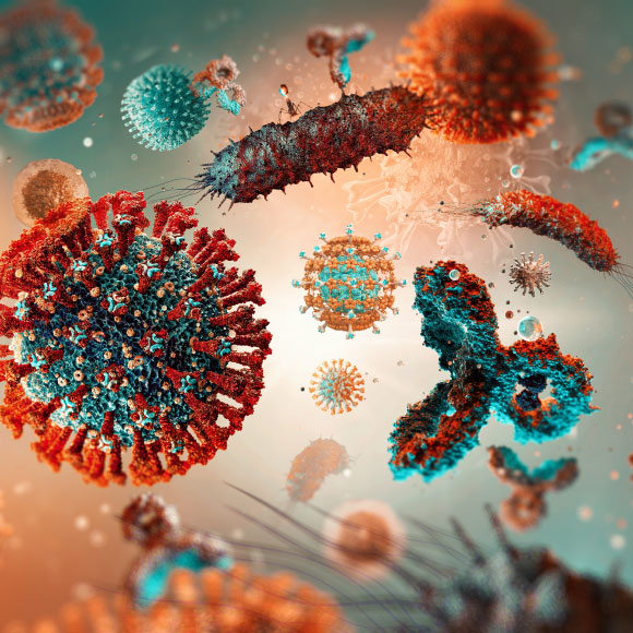 מחלות ללא גבולות: התפרצות צרעת בברזיל