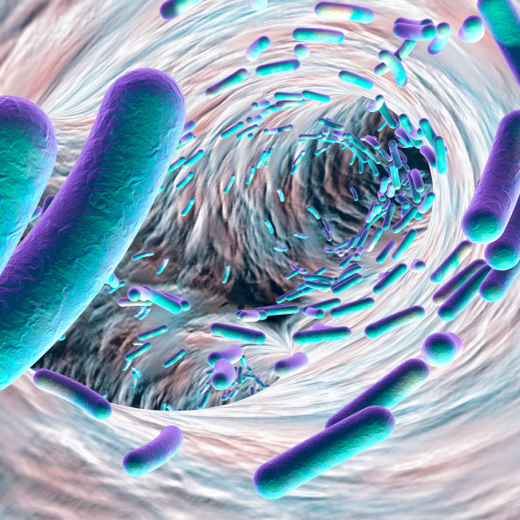 נדידת החיידקים העמידים