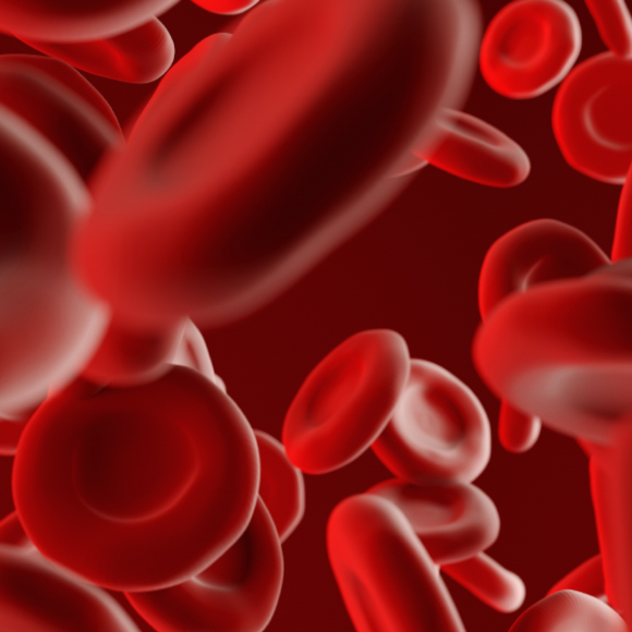 לייצר דם במעבדה