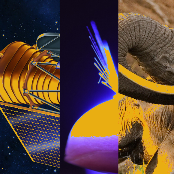 המחקרים החדשים ביותר: מהנשמדע 25/2/2023