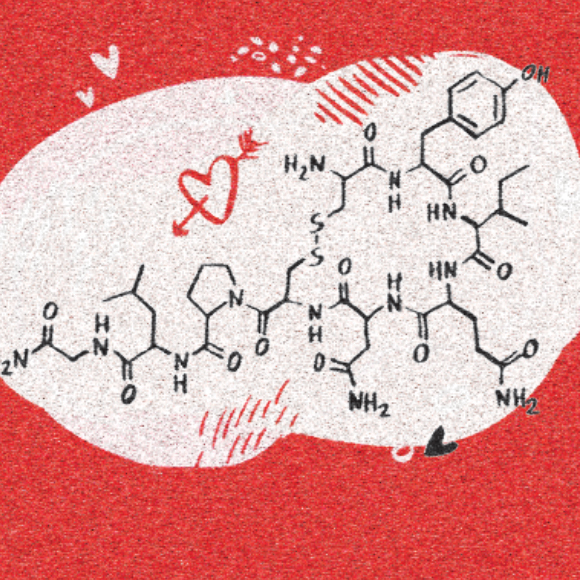 הנברנים שהוציאו את הרומנטיקה מהורמון האהבה