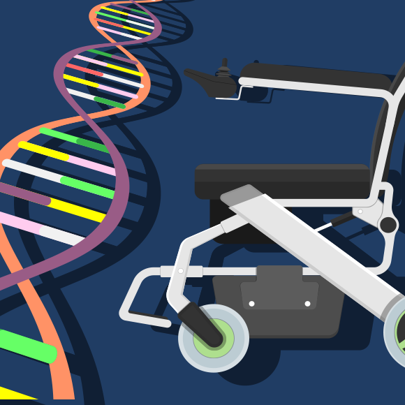 What Is Myotonic Dystrophy?