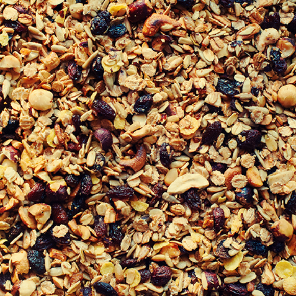 ייבשתם אותנו