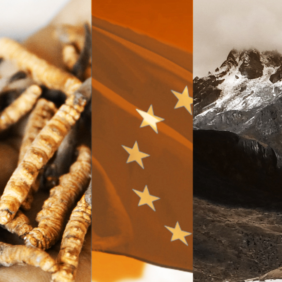 המחקרים החדשים ביותר: מהנשמדע 4/3/2023