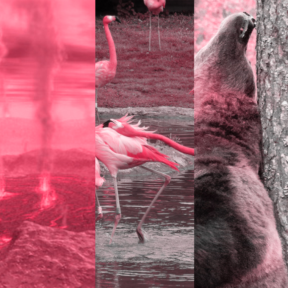 המחקרים החדשים ביותר: מהנשמדע 25/3/2023