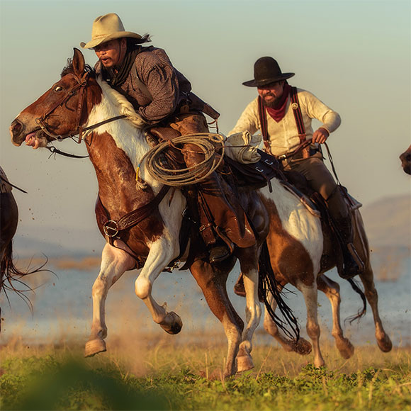 לעלות על הסוס – בפעם הראשונה