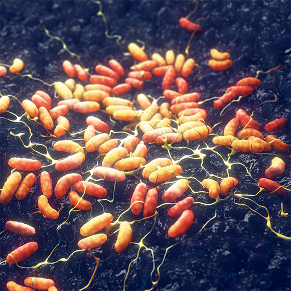 חצבת מסביב לעולם: מחלות ללא גבולות