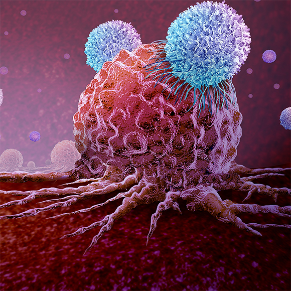 רפואה מותאמת אישית לסרטן עור אלים