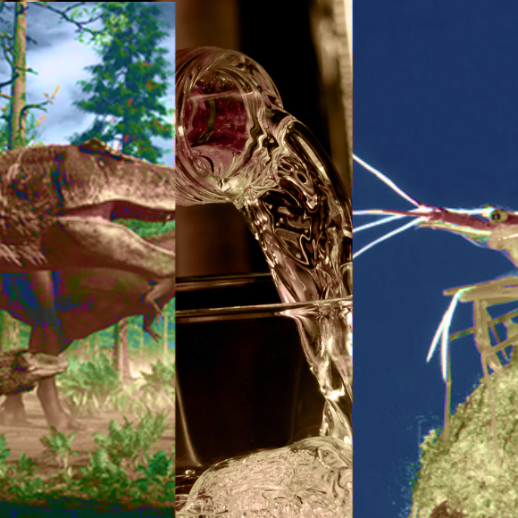 המחקרים החדשים ביותר: מהנשמדע 29/4/2023