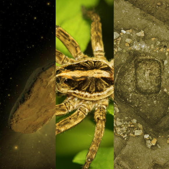 המחקרים החדשים ביותר: מהנשמדע 1/4/2023