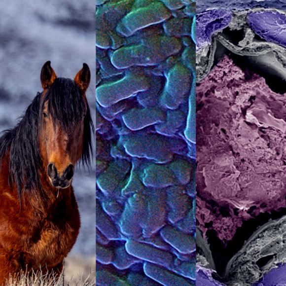 המחקרים החדשים ביותר: מהנשמדע 22/4/2023