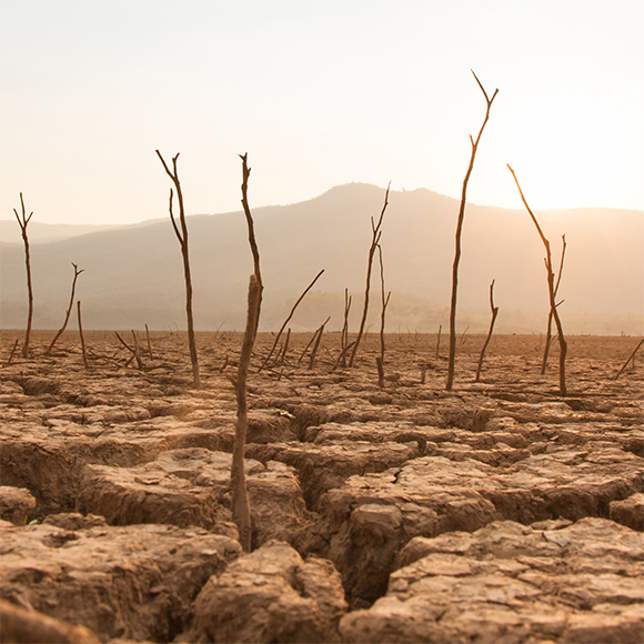 מה בין יציאת מצרים למשברי הסביבה?
