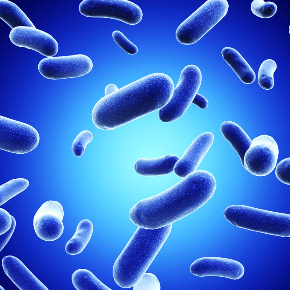 להיאבק – יחד או לחוד