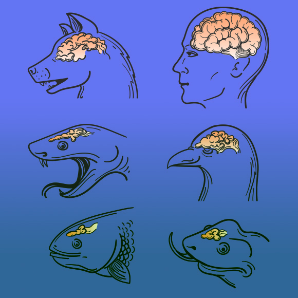 הורים משקיענים – צאצאים חכמים?
