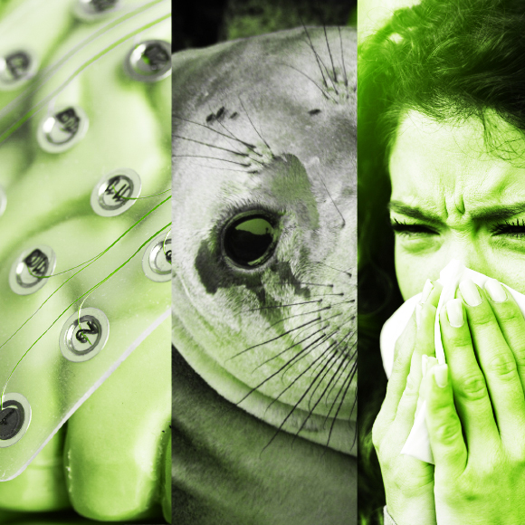 המחקרים החדשים ביותר: מהנשמדע 20/5/2023