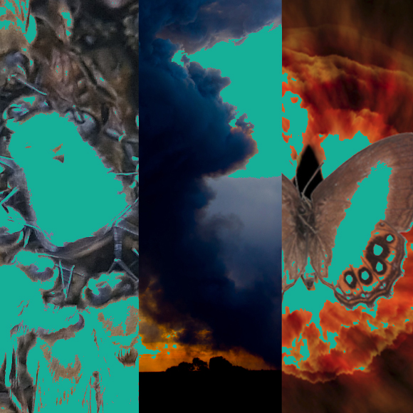 המחקרים החדשים ביותר: מהנשמדע 13/5/2023