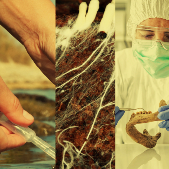 המחקרים החדשים ביותר: מהנשמדע 27/5/2023