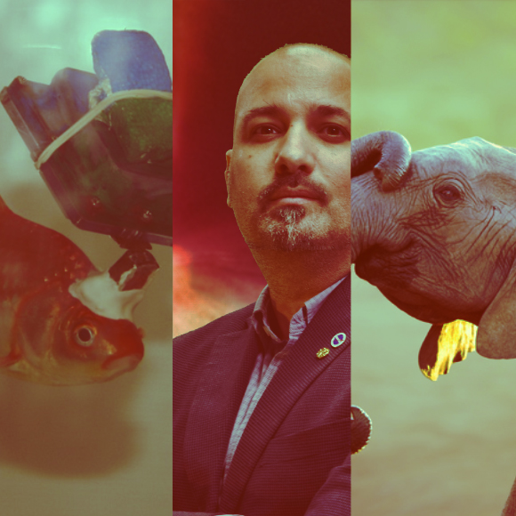 המחקרים החדשים ביותר: מהנשמדע 6/5/2023