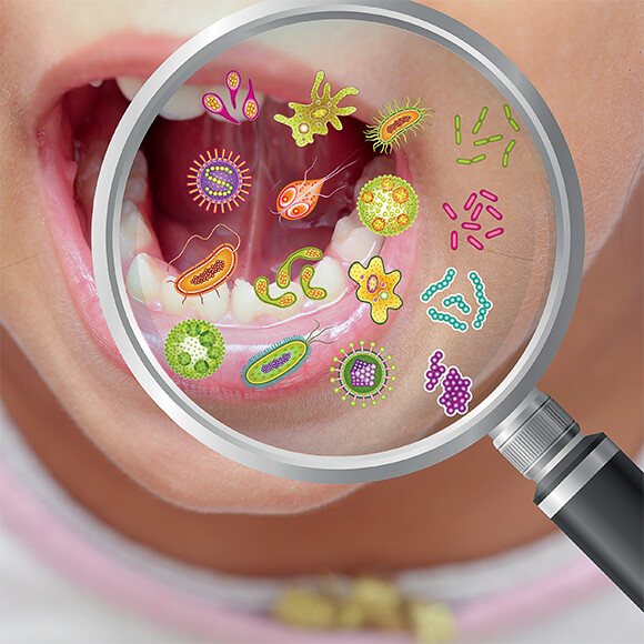 מרכבת הפטריות של חיידקי השיניים