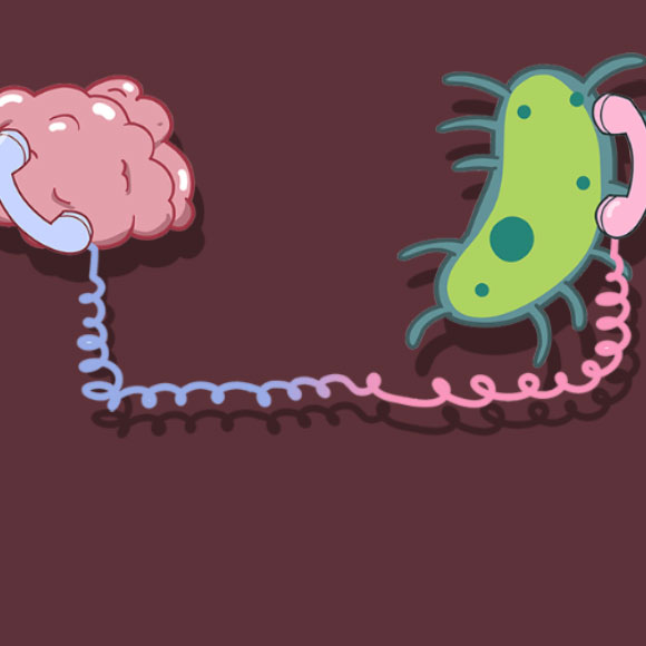 When the Brain and Gut Communicate