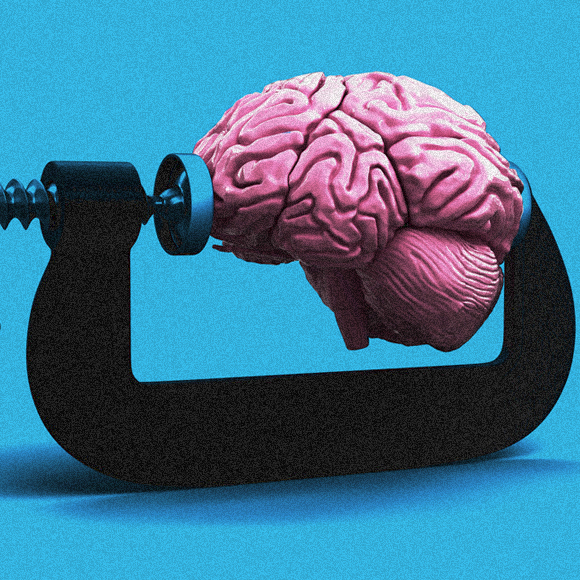 מה זה אלבסטר? שטיפת מוח 290