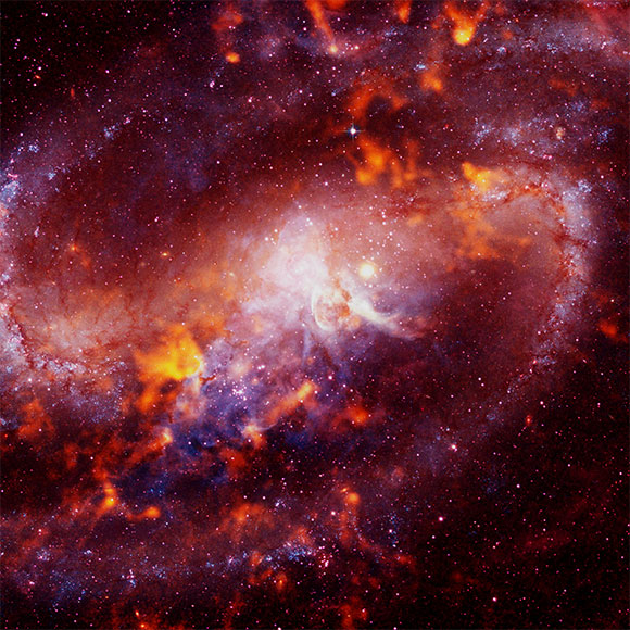 חומוס ישראלי בדרך לירח: השבוע בחלל