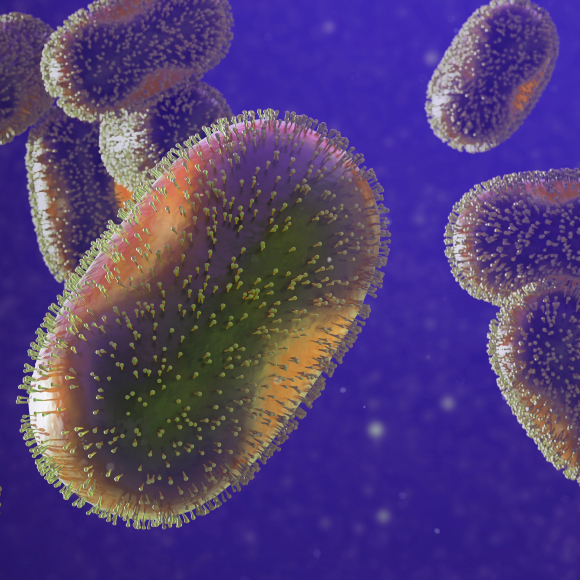 מחלות ללא גבולות: חזרת חוזרת