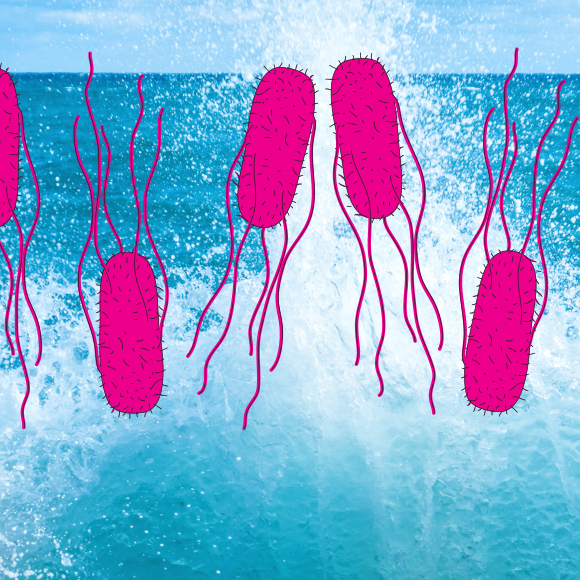 משב רוח לא רענן