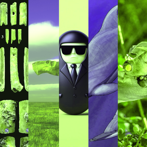 המחקרים החדשים ביותר: מהנשמדע 24/6/2023