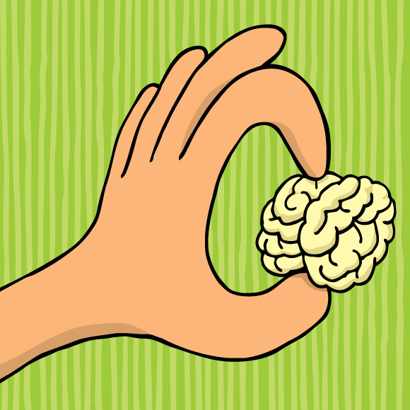 מוח קטן, תרבות גדולה