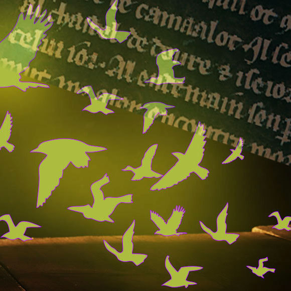 Exploring The Ecology of Medieval Knight Tales