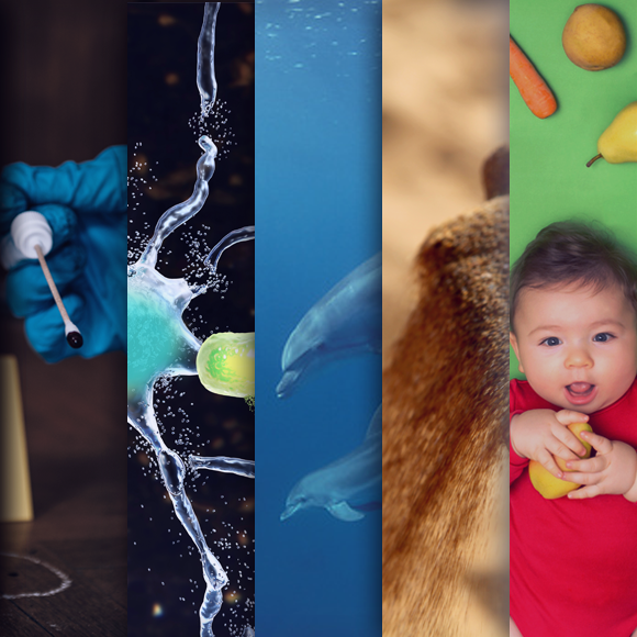 המחקרים החדשים ביותר: מהנשמדע 22/7/2023