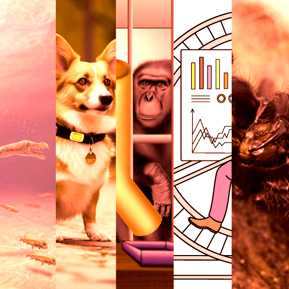 המחקרים החדשים ביותר: מהנשמדע 29/6/2023