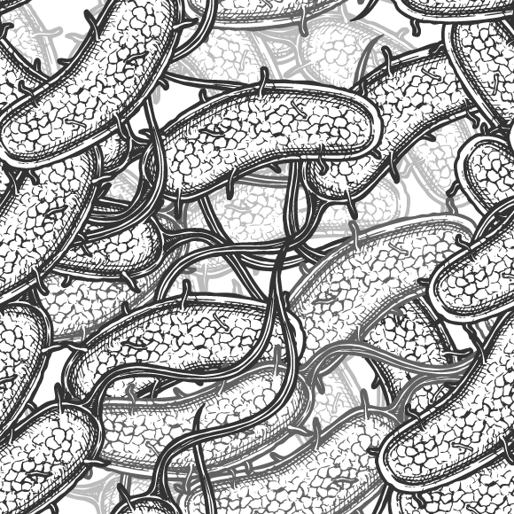 הנשק ההגנתי ההתקפי של החיידקים