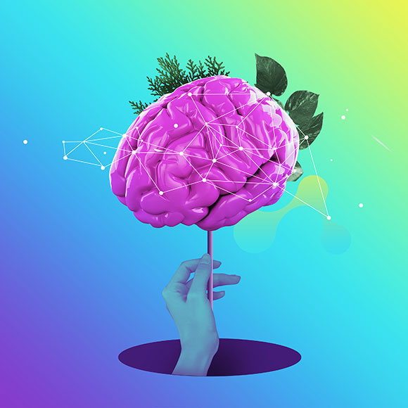 Brainwash – What is a Pneumatic System?