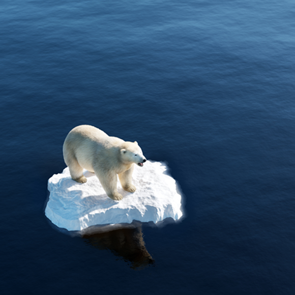 קיץ שובר שיאים: מה קורה בסביבה?