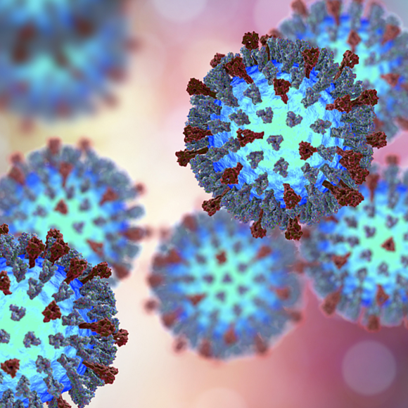 מכת חצבת: מחלות ללא גבולות