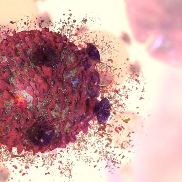 הדרך לסוף הדרך