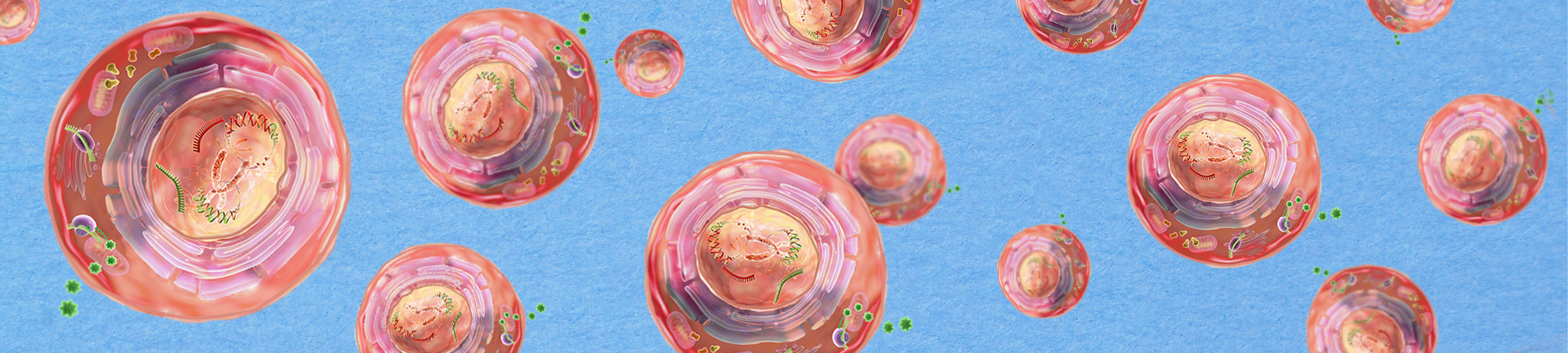 הנגיפים שמרכיבים אותנו