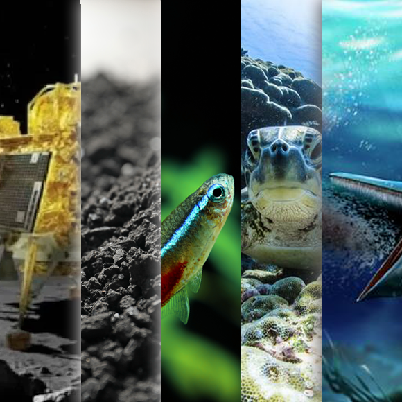 המחקרים החדשים ביותר: מהנשמדע 26/8/2023