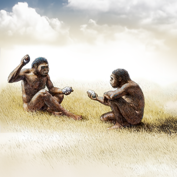 חלבונים משיני הקדמונים